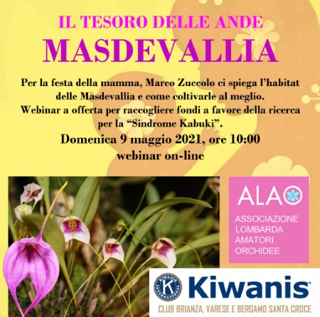 Festa della mamma: beneficenza per la Sindrome Kabuki con i Kiwanis club Brianza, Bergamo Santa Croce e Varese in collaborazione con l'Associazione ALAO