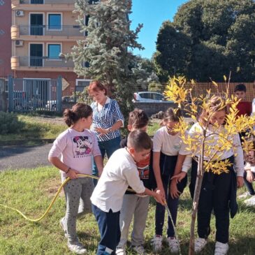 KC Acireale – Kiwanis On Day