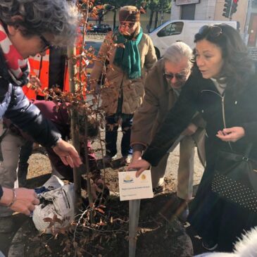 KC Bergamo Orobico – Kiwanis One day con piantumazione di un albero