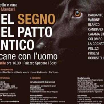 KC Scicli – Sostegno a un progetto sulla tutela dei diritti degli animali