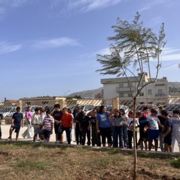 KC Trapani – “Noi bene comune” Piantumazione di alberi nelle scuole della città con la Co.Tu.Le.Vi e il CeSVoP